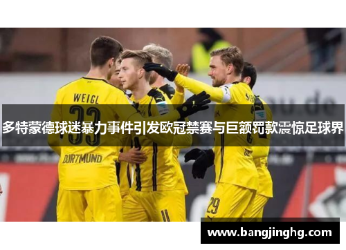多特蒙德球迷暴力事件引发欧冠禁赛与巨额罚款震惊足球界