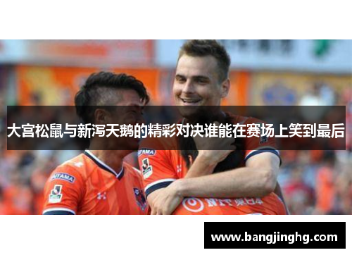 大宫松鼠与新泻天鹅的精彩对决谁能在赛场上笑到最后